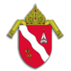 The Diocese of Laredo